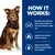 How it works: Naturally works with your dog's unique energy use for easy & effective weight loss. Supports dog's natural ability to burn fat. Unique blend of fibre helps keep dogs full & satisfied.