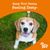 Zesty Paws Senior Advanced 9-i-1 Chews kalkun