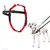 Red and black harness shown separately and worn by a dog attached to a lead, demonstrating how the harness fits and is used for walking.