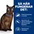 Så här fungerar det: Kliniskt bevisade nivåer av L-karnitin. Höga protein- och optimala kolhydratnivåer bidrar till att reglera blodsockret. Kliniskt bevisade antioxidanter.