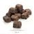 Morceaux de friandises brunes pour animaux, forme cubique, taille indiquée : 2,5 cm sur une règle graduée visible sous les produits.