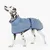Chien dalmatien portant un manteau bleu clair avec fermeture à boucle et col montant, logo rond visible sur le côté du manteau.