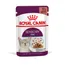 Royal Canin Sensory Feel в соусе - 24 x 85 г