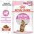ROYAL CANIN KITTEN Sterilised, 85 g x 12. Health Nutrition. Unterstützung der körpereigenen Abwehrkräfte. SOSSE. Billede af killing på pakken. ROYAL CANIN KITTEN Sterilised, 85 g x 12. Health Nutrition. Unterstützung der körpereigenen Abwehrkräfte. SOSSE. Billede af killing på pakken.