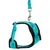 Turquoise harness with black trim and adjustable buckles, including matching lead with metal snap hook.