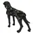 Dog coat in camouflage design, with adjustable closure and high collar, shown on a black dog mannequin.
