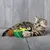 Grey kitten playing with green crocodile-shaped cat toy and brown yarn ball.