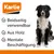 Jouet Doggy Brain Train 2 en 1 pour chien Jouet Doggy Brain Train 2 en 1 pour chien
