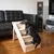 Hundetreppe aus Kunststoff mit drei Stufen, geeignet für den Zugang zu Möbeln. Dackel demonstriert die Nutzung der Treppe neben einem schwarzen Ledersofa.