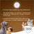 Concept for Life Medium Senior pour chien