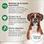 Concept for Life Boxer Adult pour chien