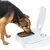 Dog eating from a white automatic feeder with open lid and timer function.
