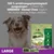 Greenies Dental Chew Large, 170g für Hunde ab 23kg. Hilft Plaque und Zahnsteinbildung zu reduzieren. Hergestellt mit natürlichen Zutaten. Packung enthält 4 Stück.