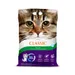 Intersand Classic Pine Forest Scented Cat Litter - 14kg 