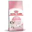 Sparpaket Royal Canin für Kitten 2 x 400 g - Kitten