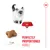 Cat food kibbles, size approx. 1 cm, with text: Perfectly proportioned kibble. Cat and bowl with kibbles shown.