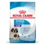 Royal Canin Giant Starter Mother & Babydog Hondenvoer - Dubbelpak: 2 x 15 kg