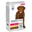 Perfect Fit Adult Hond (>10kg) Dubbelpak: 2 x 11.5 kg