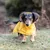 Cane con impermeabile giallo corre su un prato. Il prodotto mostra abbigliamento per cani resistente alle intemperie.