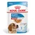 Royal Canin Medium Puppy en sauce pour chiot