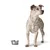 Dog standing next to a metal food bowl, demonstrating use of pet feeding accessories.