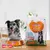 <b>Animonda Carny Adult Rind, Huhn & Kaninchen</b>