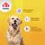 8in1 Vitality multivitamintabletter Adult