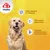 8in1 Vitality multivitamintabletter Adult