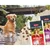 Twee zakken animonda GranCarno Adult hondenvoer, varianten Geflügel + Rind en Geflügel, met zichtbare brokjes en een hond op de verpakking. Merknaam en productnamen duidelijk leesbaar.