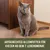 Aliment complet adapté pour les chats à partir du 7ᵉ mois de vie. Aliment complet adapté pour les chats à partir du 7ᵉ mois de vie.