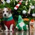 Hund im roten Pullover sitzt vor Weihnachtsbaum, daneben Plüschwichtel und Keksverpackung mit Aufschrift 'Runde Butter'.
