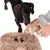 Interactive dog toy with compartments for snacks. A hand points to a compartment while a dog looks at the toy.