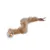 Jouet Karlie Kitty Wonderball pour chat