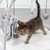 Deux chatons jouent sur un tapis d’éveil pour chats avec arches et jouets suspendus : peluche pieuvre, boule en ficelle, plume et boule argentée. Tapis en tissu clair.