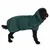 Black dog wearing a green coat with hood and pocket, suitable for protection or warmth.