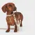 Brown dog with beige collar and matching fabric lead, both with 'Mungo & Maud' brand label.