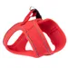 Harnais TIAKI Wave Vest, rouge pour chien - taille XS : tour de poitrail 36 cm 