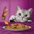 Assiette de nourriture humide pour chat avec morceaux de viande, carottes et pois verts en sauce, chat gris tigré regardant la nourriture sur fond violet.