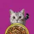 Whiskas Senior buste 144 x 85 g Alimento umido per gatti Whiskas Senior buste 144 x 85 g Alimento umido per gatti