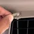 Close-up van een sluitmechanisme op een transportbox, getoond met een hand ter demonstratie van de bediening.