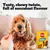 PEDIGREE® RODEO™ Adult Dog Treats Beef