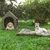 Hondenhok van stof met gaasramen en hondenmat in groen, getoond in de tuin met twee honden.