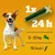 Navodila za uporabo priboljška: 1 kos na 24 ur za pse 5–10 kg, 51 kcal na priboljšek. Prikazan zelen priboljšek in silhueta psa.