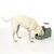 Dog eating from a green food dispenser with integrated dry food container.