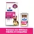 Hill's Prescription Diet Gastrointestinal Biome, digestive/soins des fibres, cliniquement prouvé en 24 heures. Essayez nos délicieux ragoûts et croquettes.