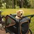 Nomad Tales cykelvagn med nätfönster och orange detaljer, hund sitter i vagnen. Vagnen är fäst vid cykeln, lämplig för utomhusaktiviteter.