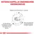 Wetenschappelijk onderbouwde voedingskeuze. Aangevuld met EPA+DHA en L-carnitine. Verrijkt met vitamine E, C en taurine. Hoog energiegehalte om gewichtsverlies te helpen beperken.
