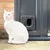 Weisse Katze sitzt vor einer Haustierklappe in einer Tür, die für den Ein- und Ausgang von Haustieren geeignet ist.