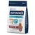 Advance Active Defense Trockenfutter für Hunde ab 7 Jahren, mit Huhn, Präbiotika, Probiotika und Ballaststoffen. Vitality+ für mittelgrosse Senioren 10-30kg, 3kg Packung.