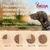 Purizon. Pour toute transition alimentaire, remplacez 1/4 de l’ancienne nourriture par 1/4 de la nouvelle tous les 3 jours. Schéma : jour 1–3, 4–6, 7–10, 11 et plus.